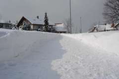 Salmendingen_2005_009