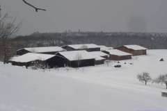 Salmendingen_2005_016