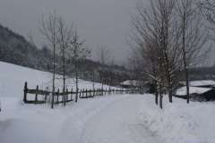 Salmendingen_2005_018