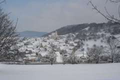 Salmendingen_2005_024