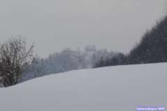 Salmendingen_2005_031