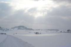 Salmendingen_2005_035